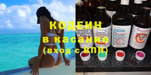 шишки Аркадак