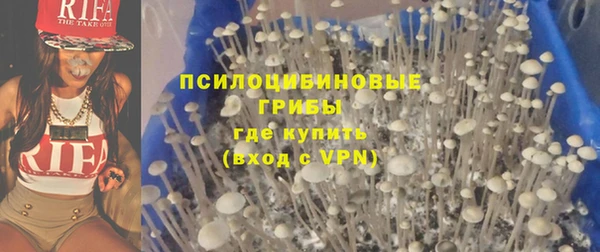 бошки Алексин