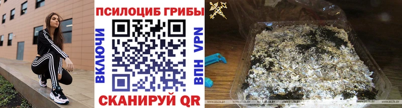 где найти   Обоянь  Галлюциногенные грибы Cubensis 